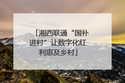 湘西联通“国补进村”让数字化红利惠及乡村