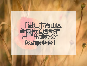 湛江市霞山区新园街道创新推出“出摊办公”移动服务台