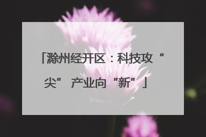 滁州经开区：科技攻“尖” 产业向“新”