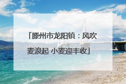 滕州市龙阳镇：风吹麦浪起 小麦迎丰收