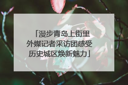 漫步青岛上街里 外媒记者采访团感受历史城区焕新魅力