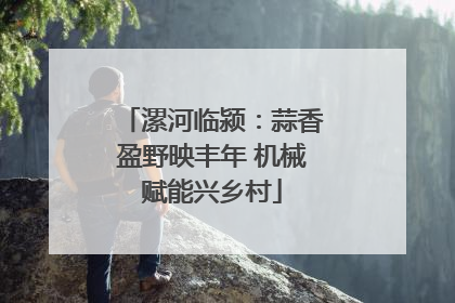漯河临颍：蒜香盈野映丰年 机械赋能兴乡村