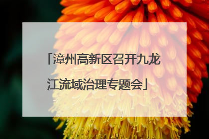 漳州高新区召开九龙江流域治理专题会
