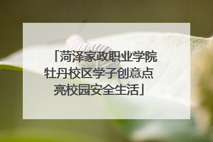 菏泽家政职业学院牡丹校区学子创意点亮校园安全生活