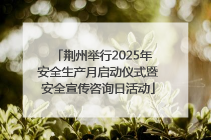 荆州举行2025年安全生产月启动仪式暨安全宣传咨询日活动