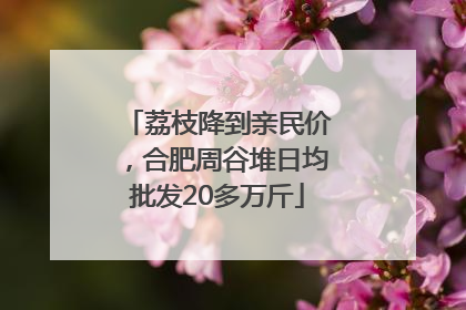 荔枝降到亲民价，合肥周谷堆日均批发20多万斤