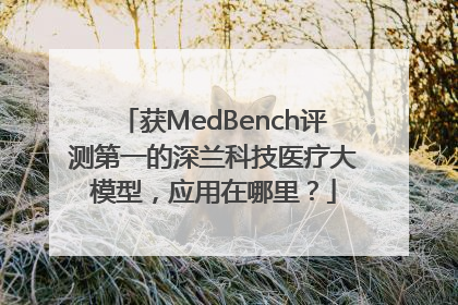 获MedBench评测第一的深兰科技医疗大模型，应用在哪里？