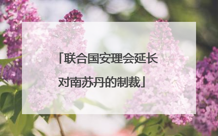 联合国安理会延长对南苏丹的制裁