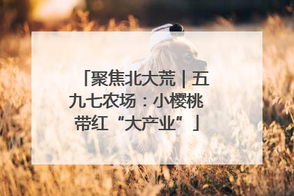 聚焦北大荒｜五九七农场：小樱桃带红“大产业”