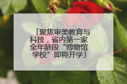 聚焦审美教育与科技，省内第一家全年龄段“博物馆学校”即将开学