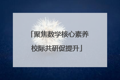 聚焦数学核心素养 校际共研促提升