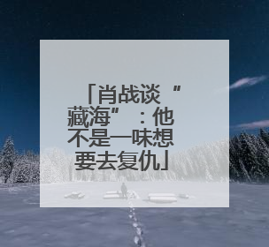 肖战谈“藏海”：他不是一味想要去复仇