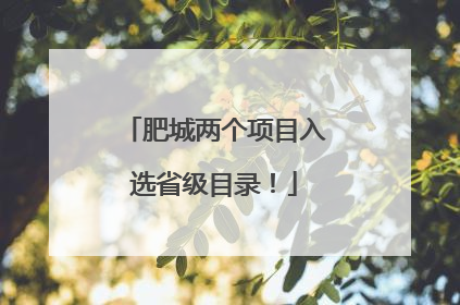 肥城两个项目入选省级目录！