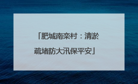 肥城南栾村：清淤疏堵防大汛保平安