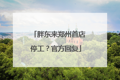 胖东来郑州首店停工？官方回复