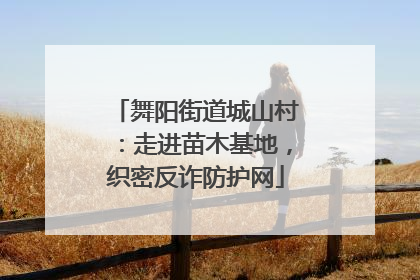 舞阳街道城山村：走进苗木基地，织密反诈防护网
