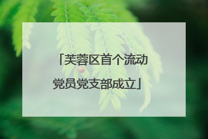 芙蓉区首个流动党员党支部成立