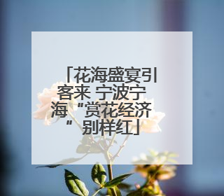 花海盛宴引客来 宁波宁海“赏花经济”别样红