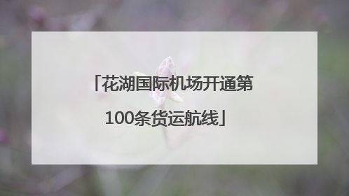 花湖国际机场开通第100条货运航线
