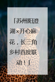 苏州阳澄湖×开心麻花，长三角乡村首度联动！