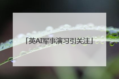 英AI军事演习引关注