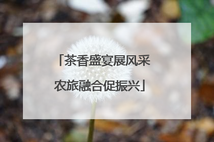 茶香盛宴展风采 农旅融合促振兴