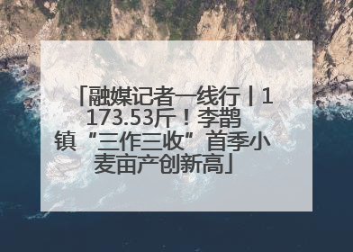 融媒记者一线行丨1173.53斤！李鹊镇“三作三收”首季小麦亩产创新高