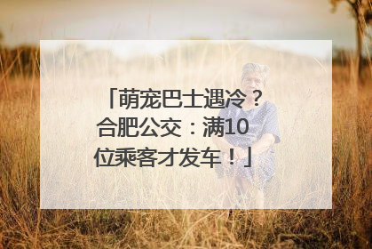 萌宠巴士遇冷？合肥公交：满10位乘客才发车！