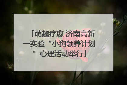 萌趣疗愈 济南高新一实验“小狗领养计划”心理活动举行