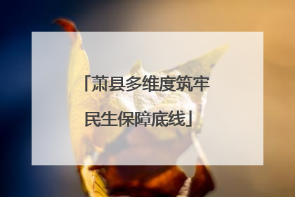 萧县多维度筑牢民生保障底线