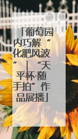 葡萄园内巧解“化肥风波”｜“天平杯·随手拍”作品展播
