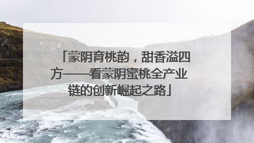 蒙阴育桃韵，甜香溢四方——看蒙阴蜜桃全产业链的创新崛起之路