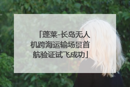 蓬莱-长岛无人机跨海运输场景首航验证试飞成功