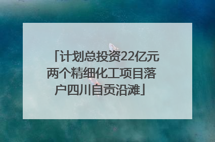 计划总投资22亿元 两个精细化工项目落户四川自贡沿滩