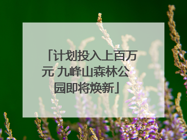 计划投入上百万元 九峰山森林公园即将焕新