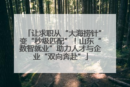 让求职从“大海捞针”变“秒级匹配”！山东“数智就业”助力人才与企业“双向奔赴”