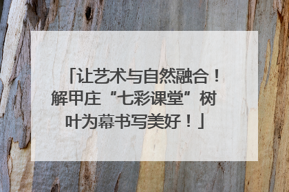 让艺术与自然融合！解甲庄“七彩课堂”树叶为幕书写美好！