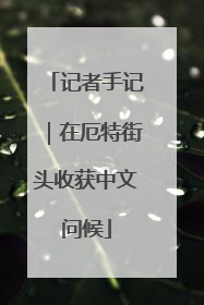 记者手记｜在厄特街头收获中文问候