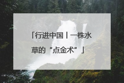 行进中国丨一株水草的“点金术”