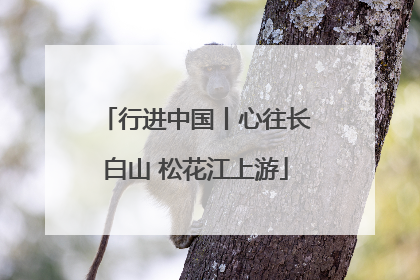 行进中国丨心往长白山 松花江上游
