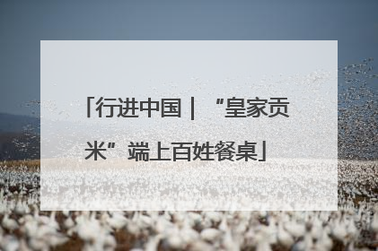 行进中国｜“皇家贡米”端上百姓餐桌