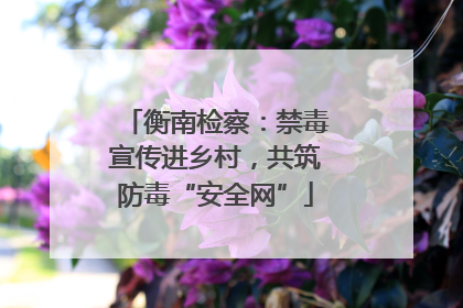 衡南检察：禁毒宣传进乡村，共筑防毒“安全网”
