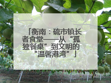 衡南：硫市镇长者食堂——从“孤独餐桌”到文明的“温馨港湾”
