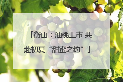 衡山：油桃上市 共赴初夏“甜蜜之约”