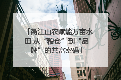 衢江山农赋能万亩水田 从“粮仓”到“品牌”的共富密码