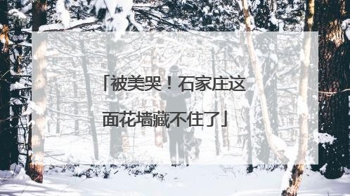 被美哭！石家庄这面花墙藏不住了