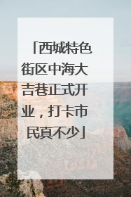 西城特色街区中海大吉巷正式开业，打卡市民真不少