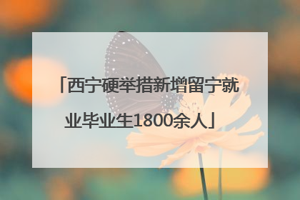 西宁硬举措新增留宁就业毕业生1800余人