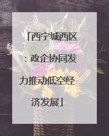 西宁城西区：政企协同发力推动低空经济发展