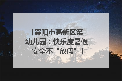 襄阳市高新区第二幼儿园：快乐度暑假 安全不“放假”